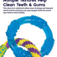 Petstages Dental Links Dog Chew Toy – Puppies &Adults, Strong Chewers, Multiple Textures & Rope