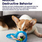 Petstages Dental Links Dog Chew Toy – Puppies &Adults, Strong Chewers, Multiple Textures & Rope