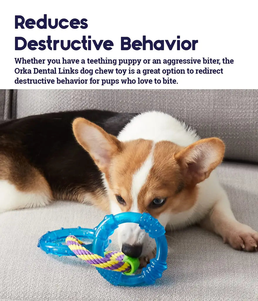 Petstages Dental Links Dog Chew Toy – Puppies &Adults, Strong Chewers, Multiple Textures & Rope