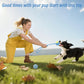 Beiker 20-Pack Puppy Chew Toys | Teething Kit for Small Dogs