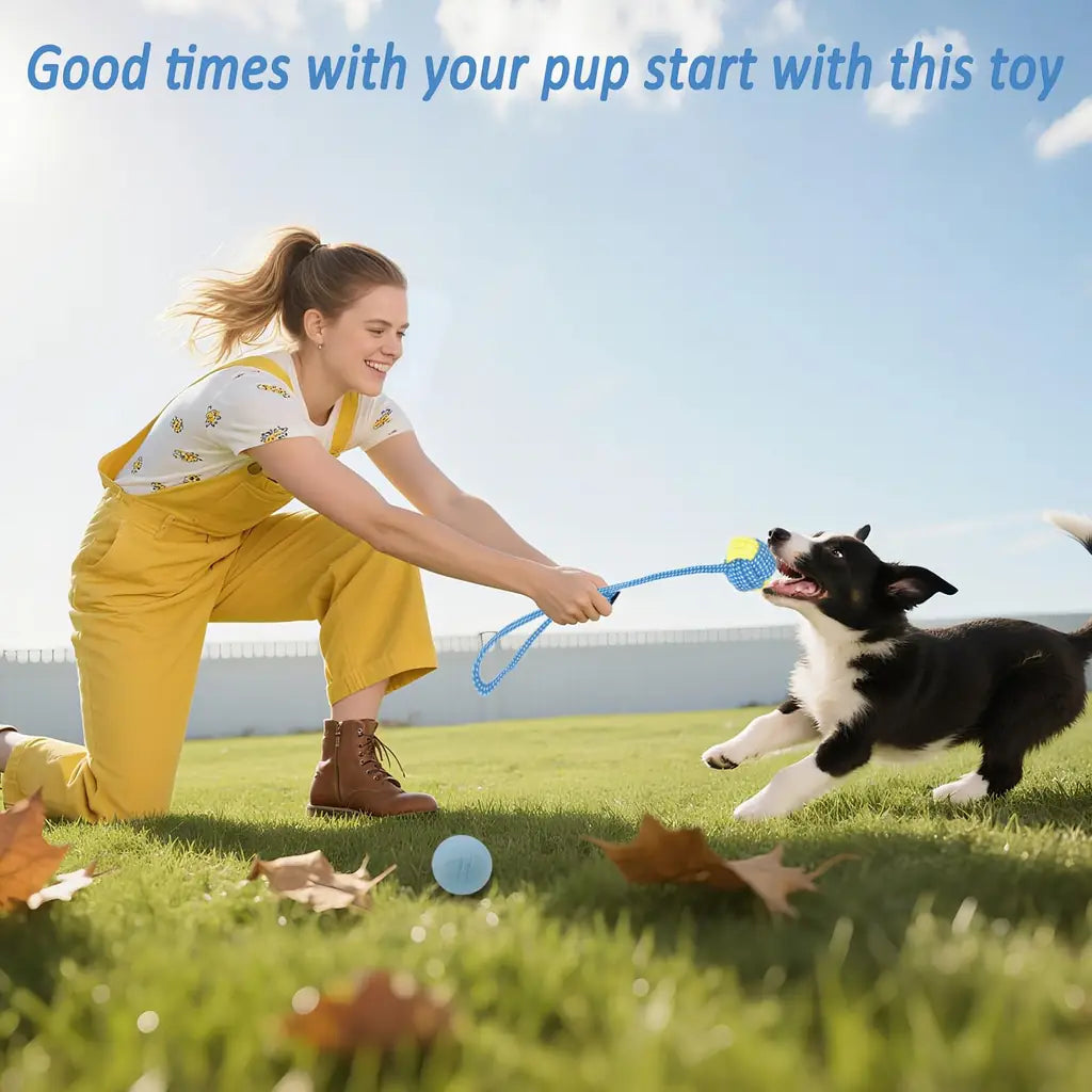 Beiker 20-Pack Puppy Chew Toys | Teething Kit for Small Dogs