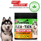 Flea and Tick Prevention for Dogs Chewables   Natural Dog Flea and