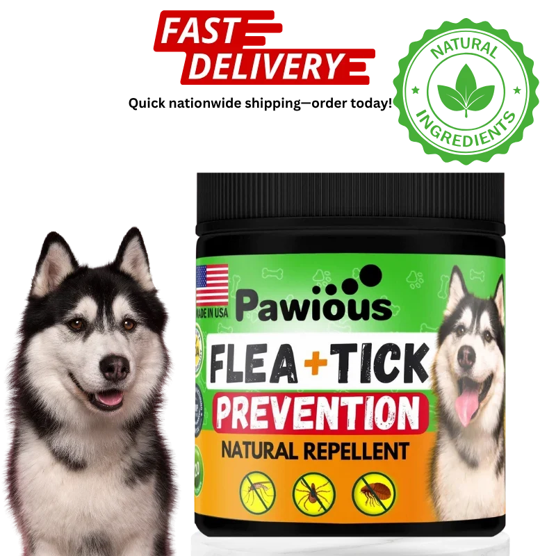 Flea and Tick Prevention for Dogs Chewables   Natural Dog Flea and