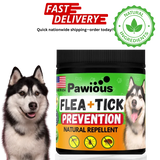 Flea and Tick Prevention for Dogs Chewables   Natural Dog Flea and