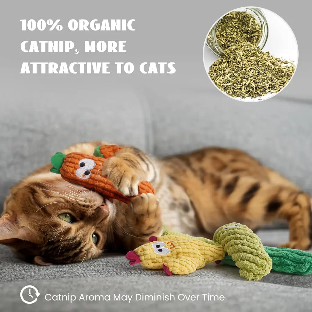 Organic Catnip Toys for Indoor Cats – 100% Pure Catnip, No Cotton, Plush Chew & Kicker Toys