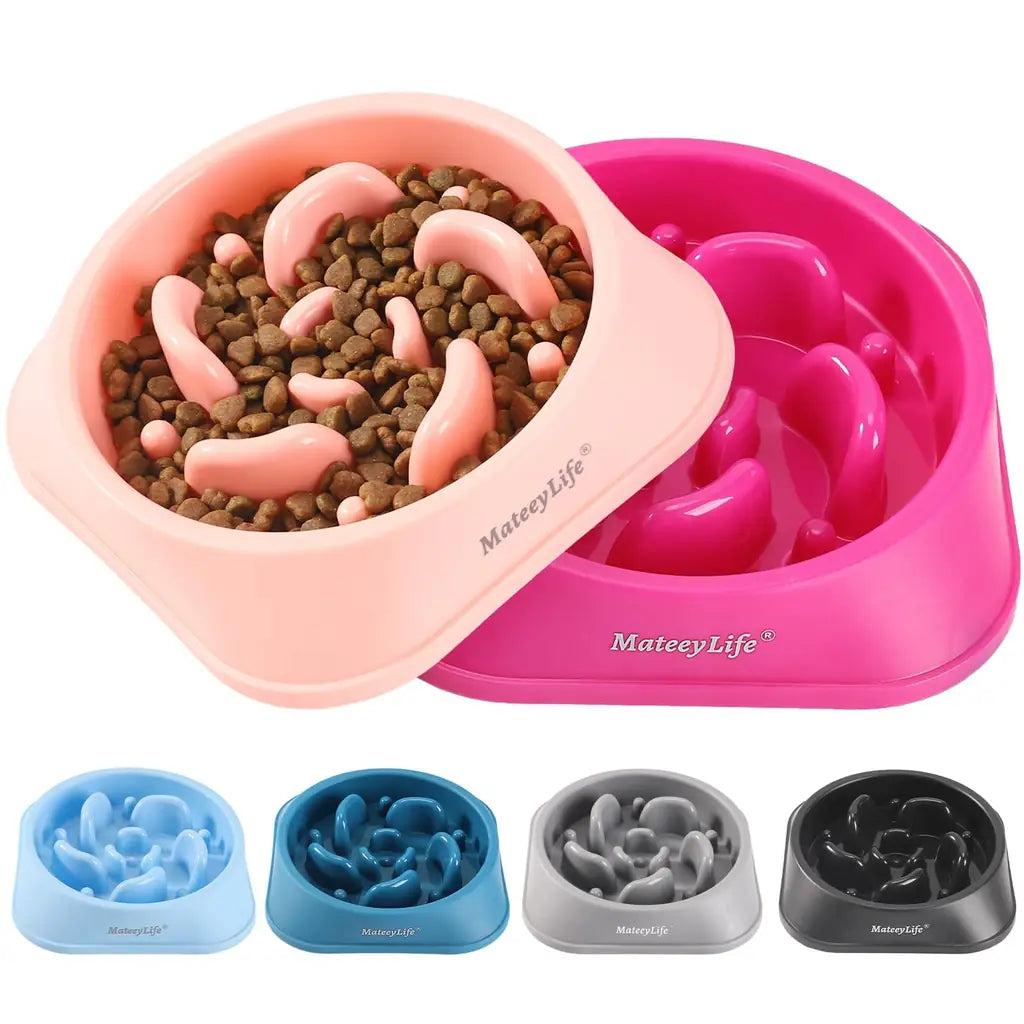 Choking Puzzle Cat Food Bowls That Protect Against Bloat