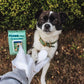 Pet Glove Wipes