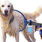 Dog Bathing Tool – Pet Shower & Massage Brush