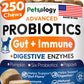 Petsology Probiotic Chews for Dogs – 250 Count | Digestive Enzymes, Prebiotics & Gut Health