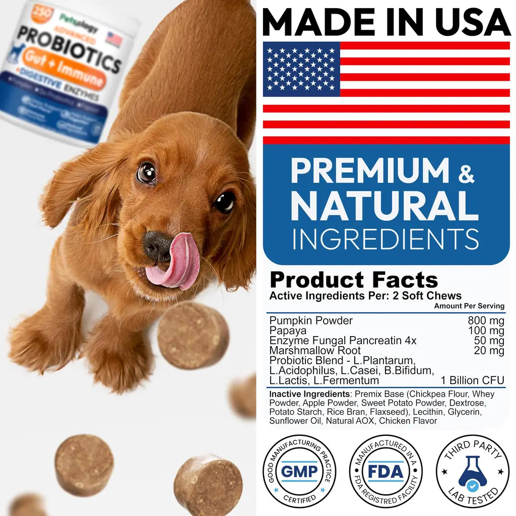 Petsology Probiotic Chews for Dogs – 250 Count | Digestive Enzymes, Prebiotics & Gut Health