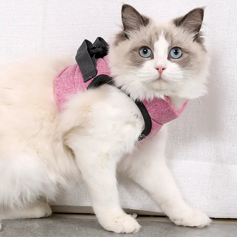 Adjustable Cat Harness & Leash – Secure Chest Strap