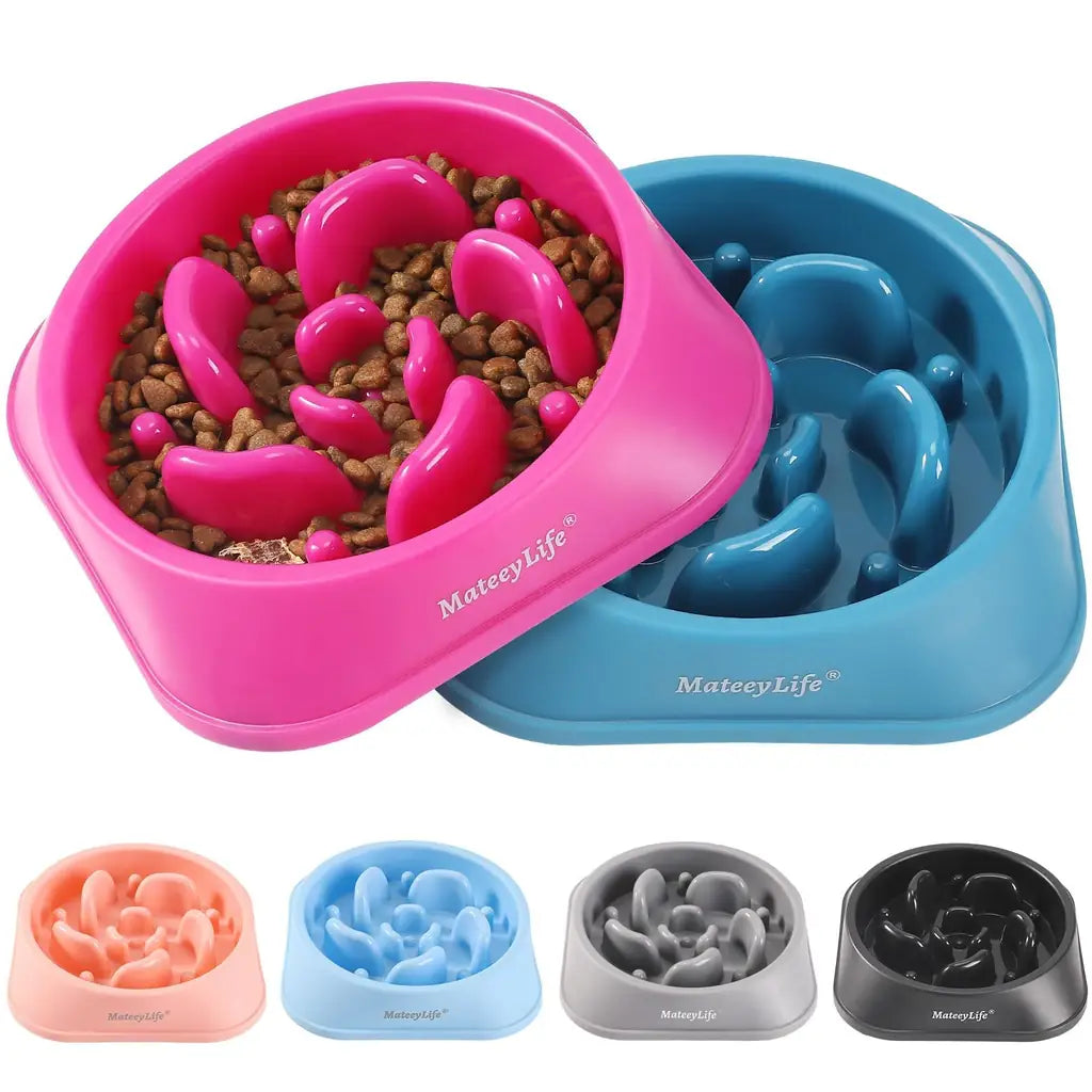 Choking Puzzle Cat Food Bowls That Protect Against Bloat