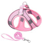 Adventure-Flow Reflective Harness & Leash Set