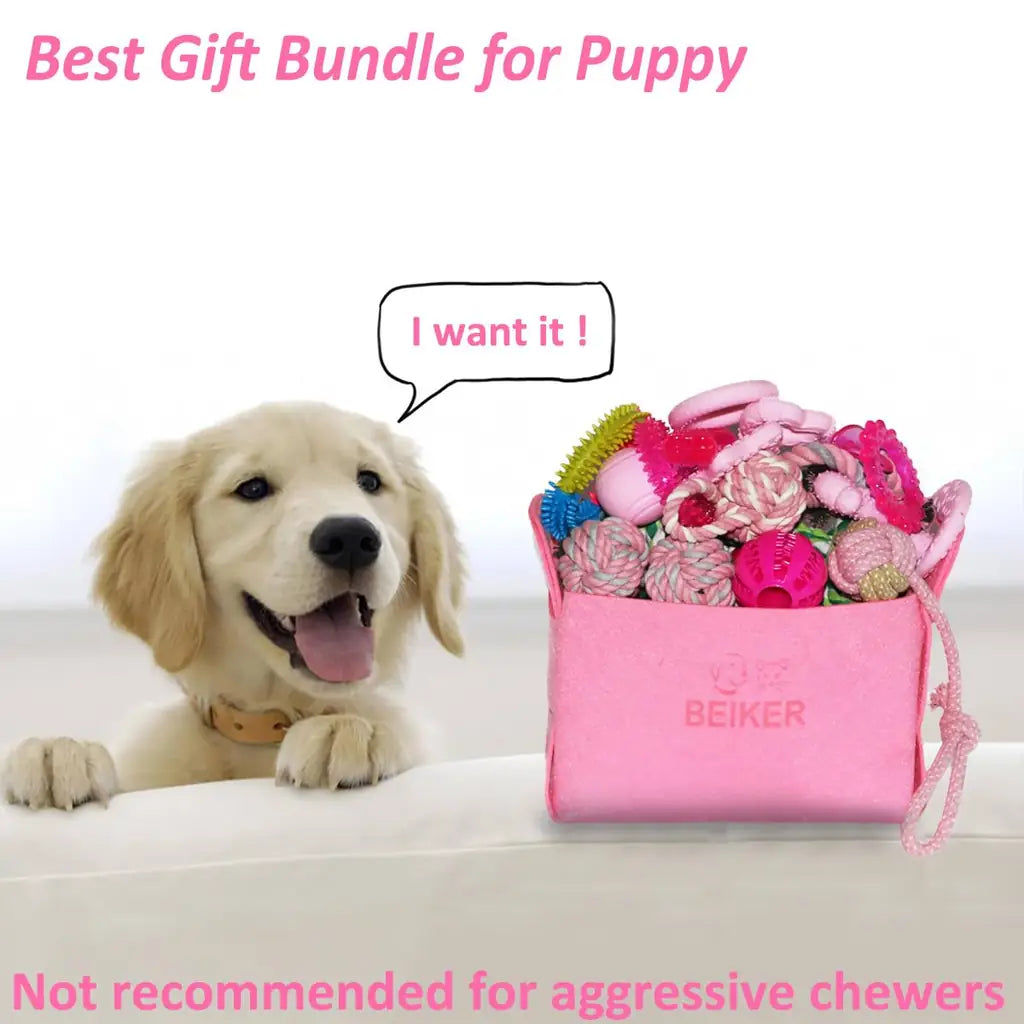 Beiker 20-Pack Puppy Chew Toys | Teething Kit for Small Dogs