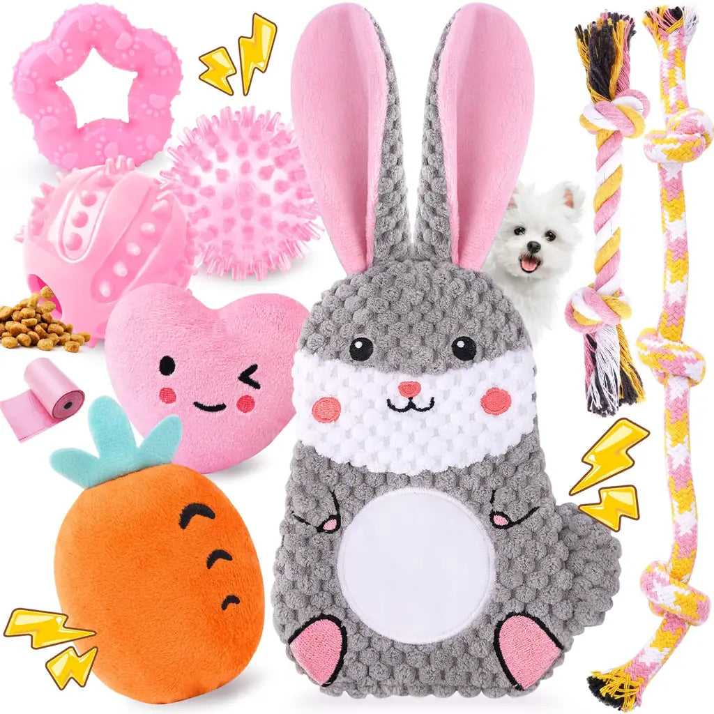 Zeaxuie Luxury Puppy Toys for Teething Small Dogs – Squeaky, Rope & Treat Ball Set