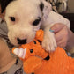 Zeaxuie Luxury Puppy Toys for Teething Small Dogs – Squeaky, Rope & Treat Ball Set