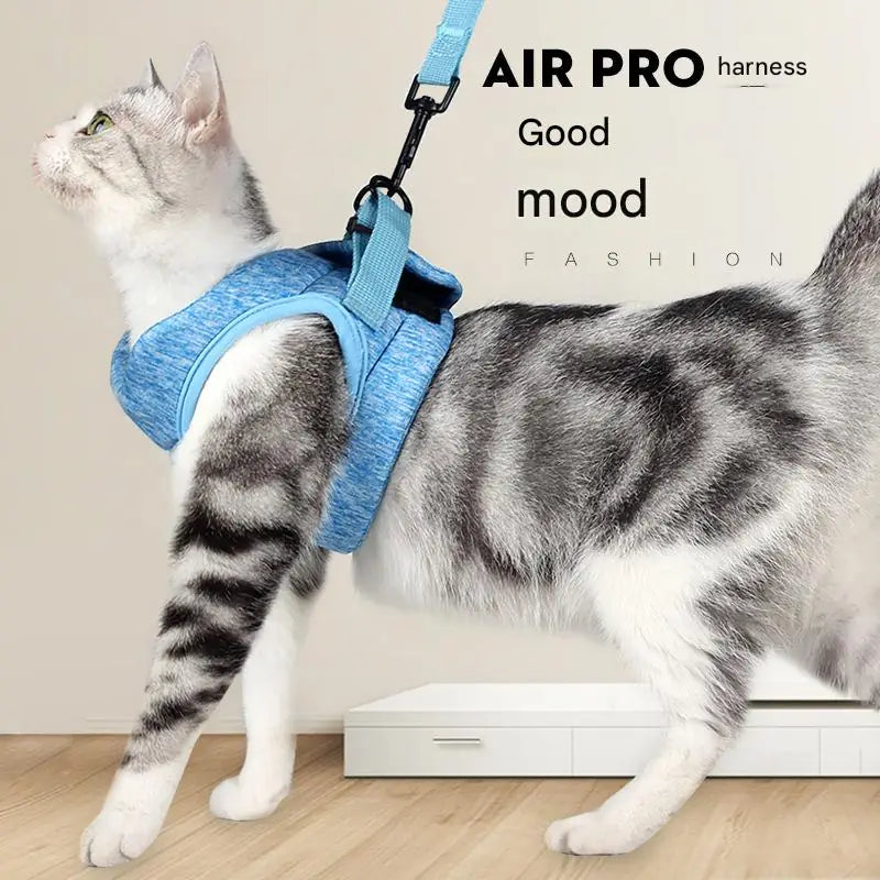 Cat Walking Harness & Leash – Outdoor Traction Rope