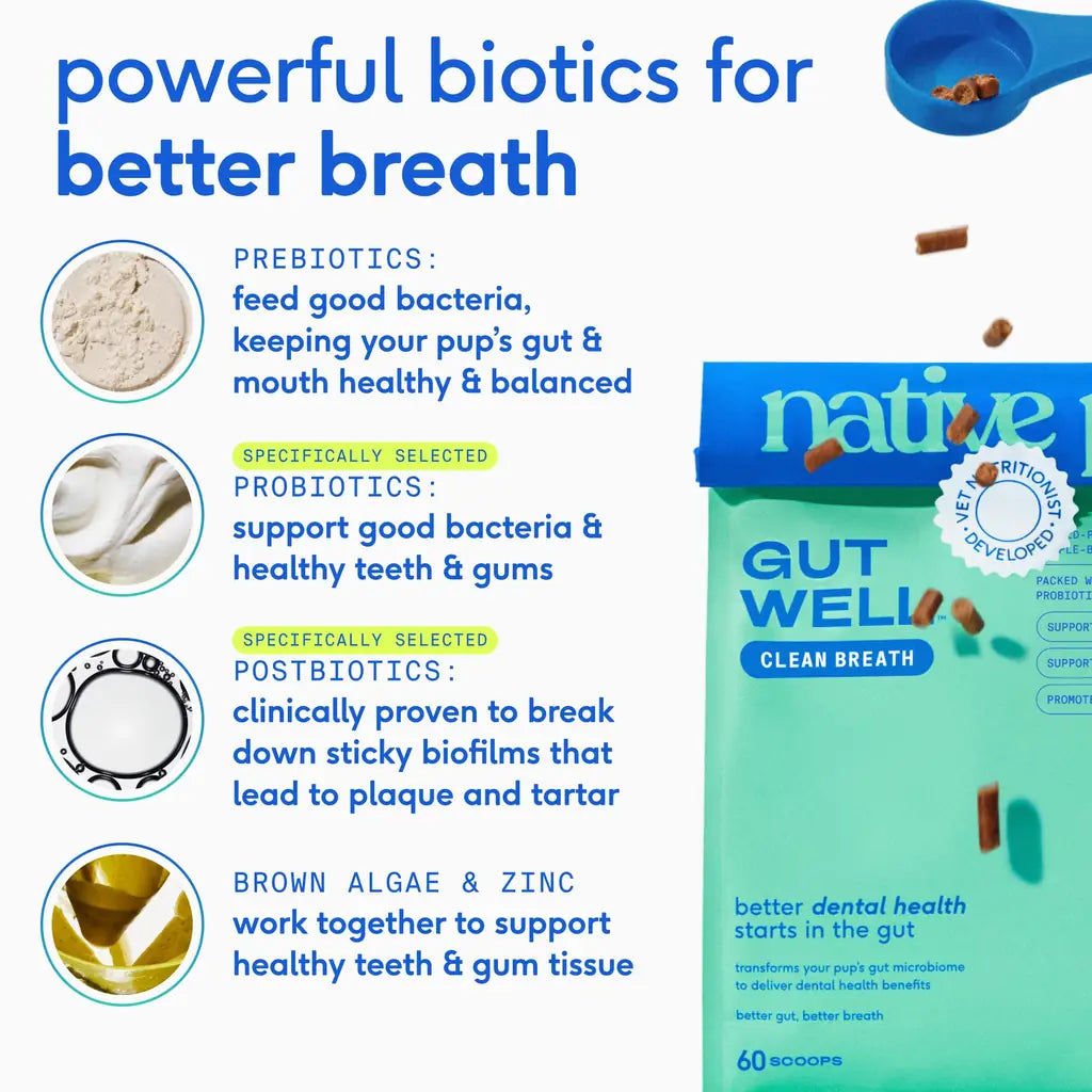 Native Pet GutWell | Dog Breath Freshener & Teeth Cleaning Powder | Triple-Biotic, Brown Algae & Zinc | 60 & 120 Scoops