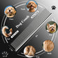 Saccison 4-in-1 Pet Grooming Scissors Kit with Safety Round Tips