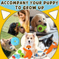 Zeaxuie Luxury Puppy Toys for Teething Small Dogs – Squeaky, Rope & Treat Ball Set