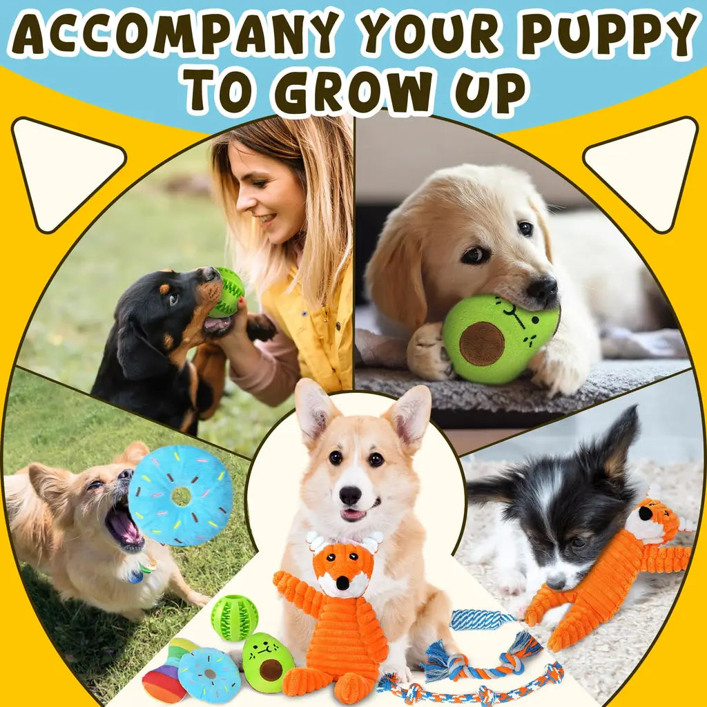 Zeaxuie Luxury Puppy Toys for Teething Small Dogs – Squeaky, Rope & Treat Ball Set