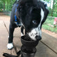 Lesotc Portable Dog Water Bottle with Bowl – 18oz / 28oz / 77oz Leak-Proof Dispenser for Dogs
