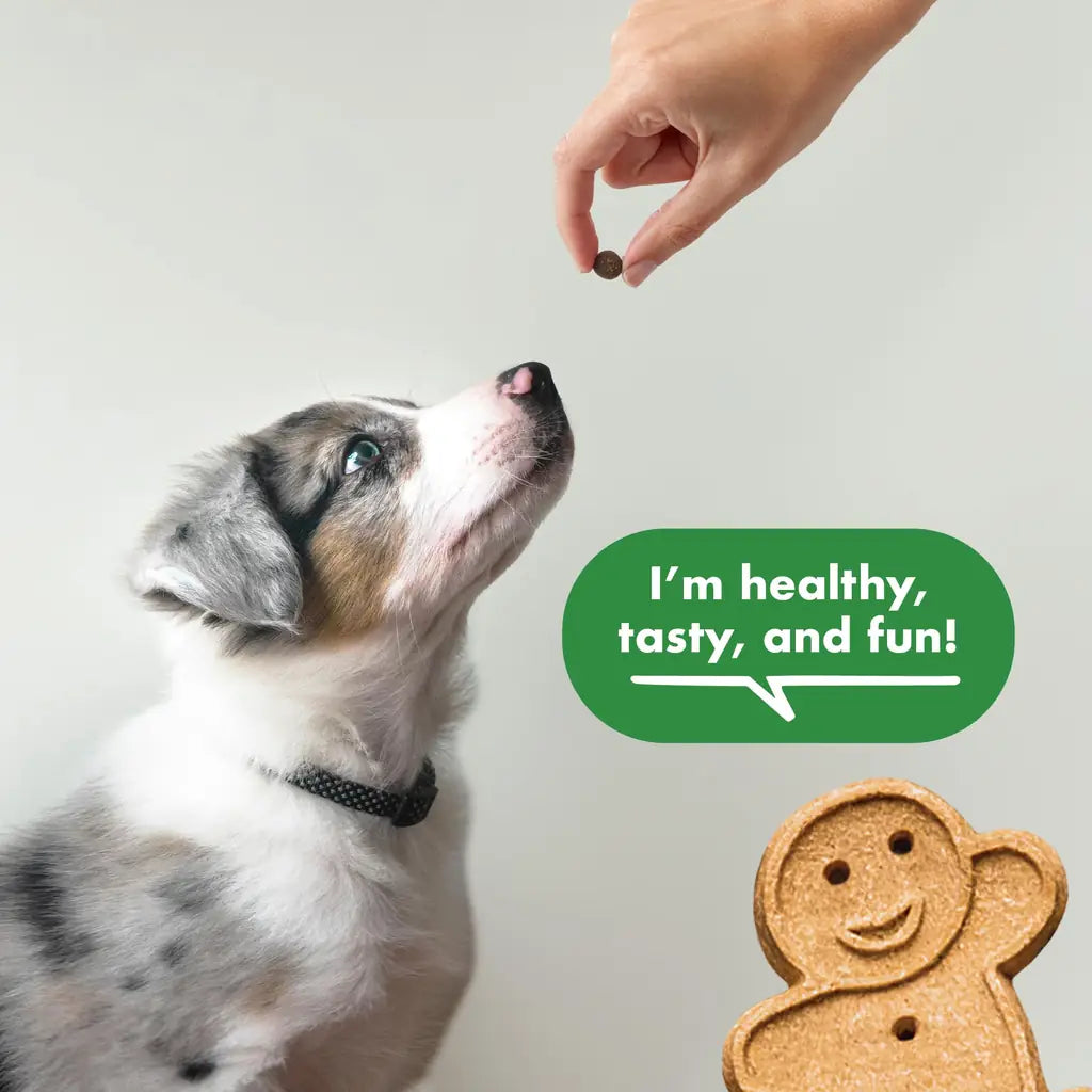 Buddy Biscuits Trainers Training Bites Soft & Chewy Dog Treats