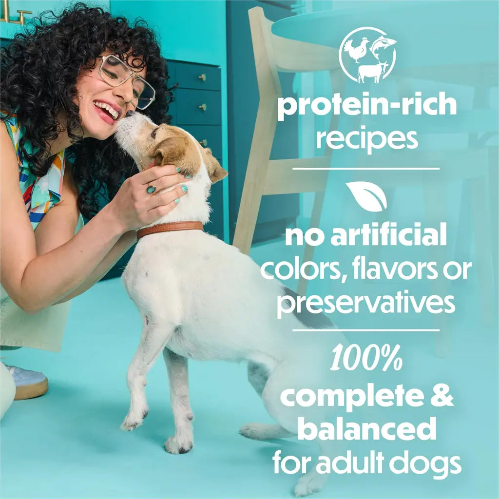 Beneful IncrediBites Small Breed Wet Dog Food | Real Beef, Chicken & Salmon in Gravy | 3 oz Cans | Variety Pack, Salmon, Chicken & Beef