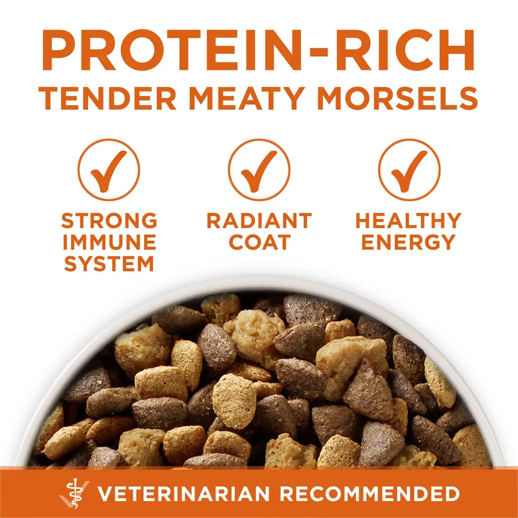 Purina ONE Healthy Weight Dry Dog Food – High Protein Turkey Formula (16.5 lb Bag)
