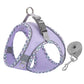 Adventure-Flow Reflective Harness & Leash Set