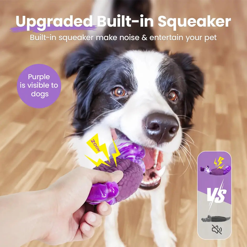 HGB Indestructible Dog Chew Toy for Aggressive Chewers – Squeaky Dental Nylon