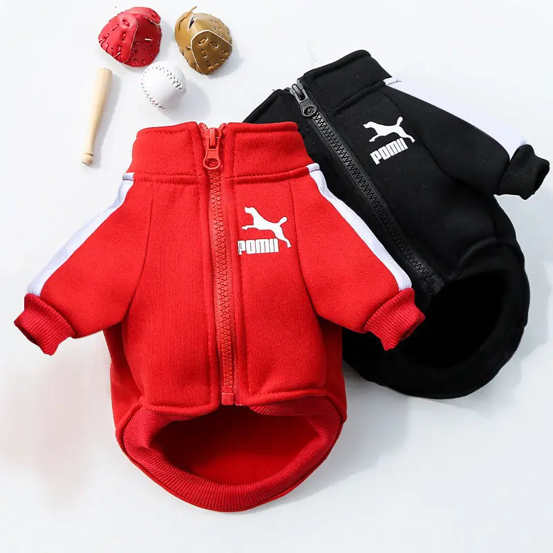 Urban Comfort Hoodie - Letter Print Pet Sweater for All Sizes