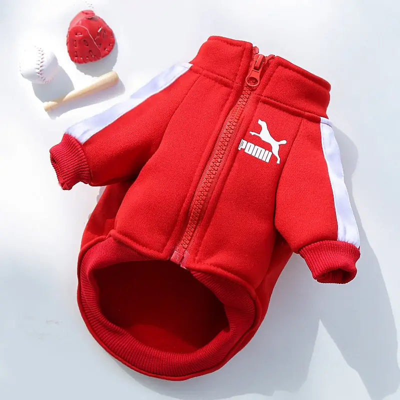 Urban Comfort Hoodie - Letter Print Pet Sweater for All Sizes