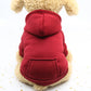 Urban Explorer Hoodie - Denim Pocket Pet Sweater