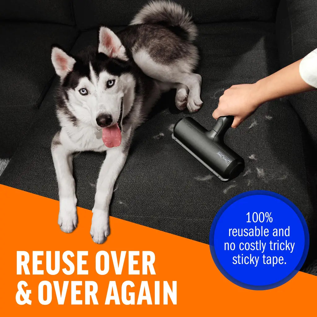 ChomChom Reusable Pet Hair Remover | Best Lint Roller for Dog & Cat Hair