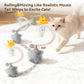 Interactive Cat Toy: 360° Rolling Mouse with Motion Sensor
