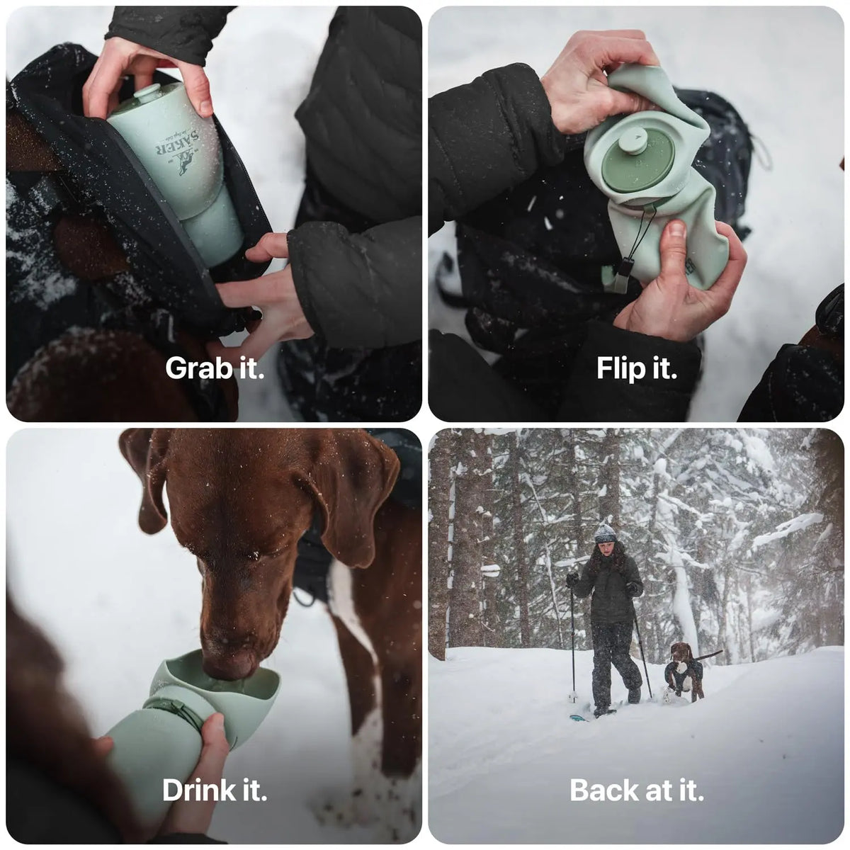 Best Dog Water Bottle for Hiking: Collapsible, Leak-Proof & BPA-Free