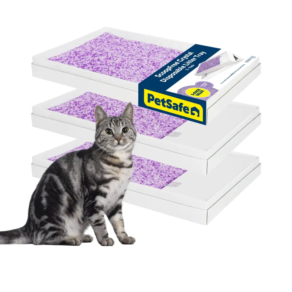 PetSafe ScoopFree Crystal Disposable Cat Litter — No-Scoop Refill Trays