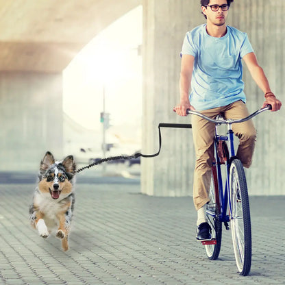 Cycling Dog Leash with Elastic Buffer – Hands-Free Walking Gear
