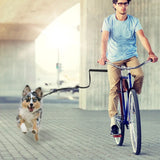 Cycling Dog Leash with Elastic Buffer – Hands-Free Walking Gear