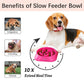 Choking Puzzle Cat Food Bowls That Protect Against Bloat