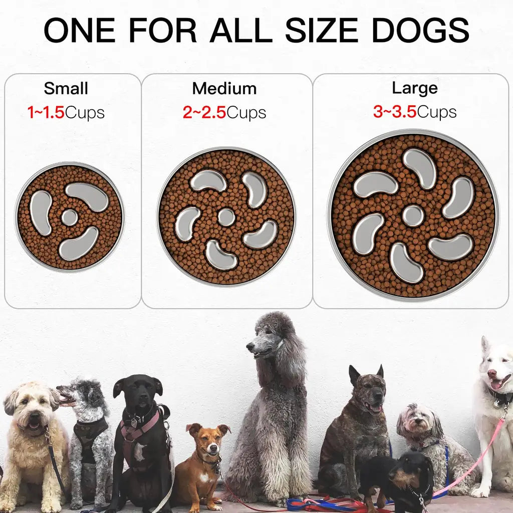 3-Cup Slow Feeder Dog Bowl – Stainless Steel for Large Breeds
