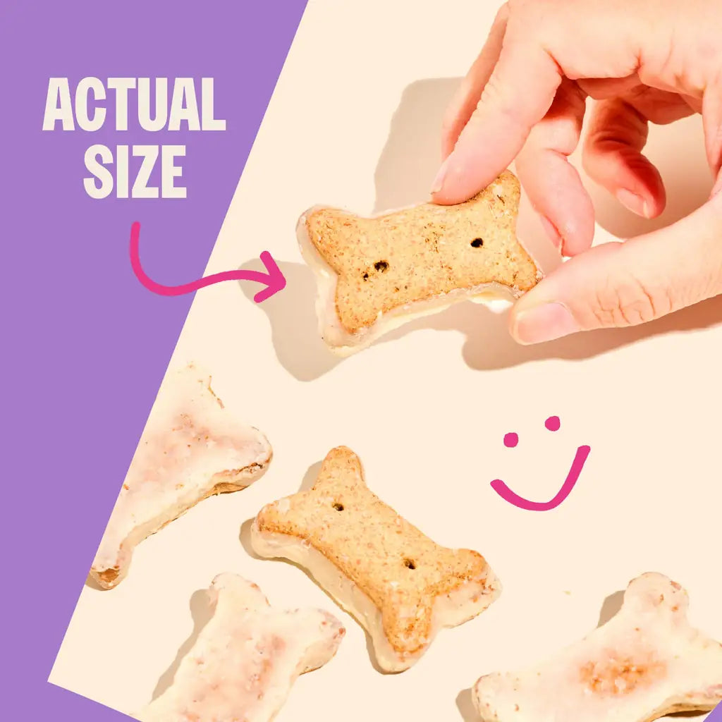 Old Mother Hubbard P-Nutty Birthday Biscuits | Natural Dog Birthday Cake Treat | Peanut Butter Flavor | 10 oz