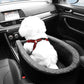 Small Dog Car Safety Seat – 2-in-1 Bed & Travel Booster