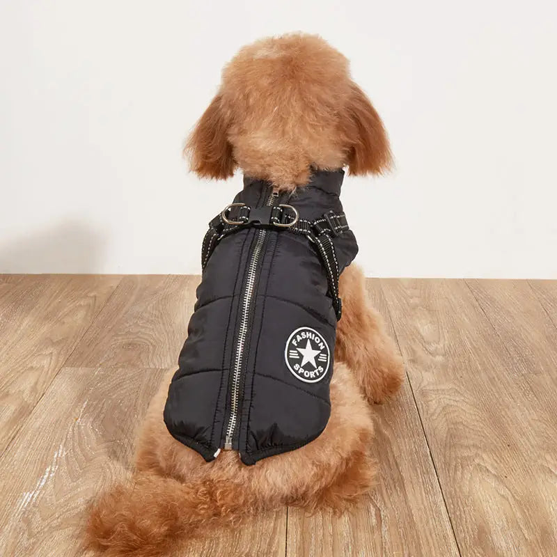 Trailblazer Reflective Jacket - Warm Winter Dog Coat with Velvet Lining