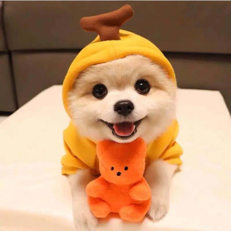 Cozy Critter Hoodie - Fleece Pet Sweater with Fun Design