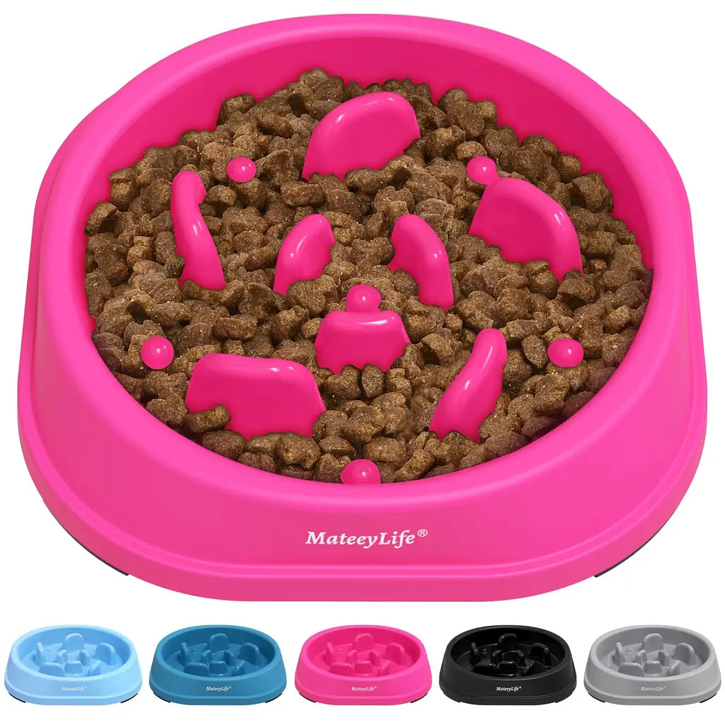 Choking Puzzle Cat Food Bowls That Protect Against Bloat