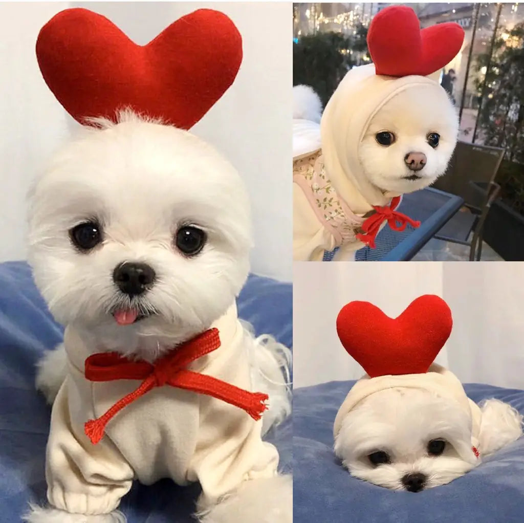 Cozy Critter Hoodie - Fleece Pet Sweater with Fun Design