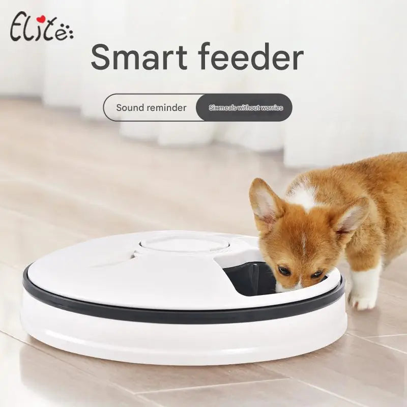 6-Meal Smart Pet Feeder – Automatic Timed Feeding Bowl