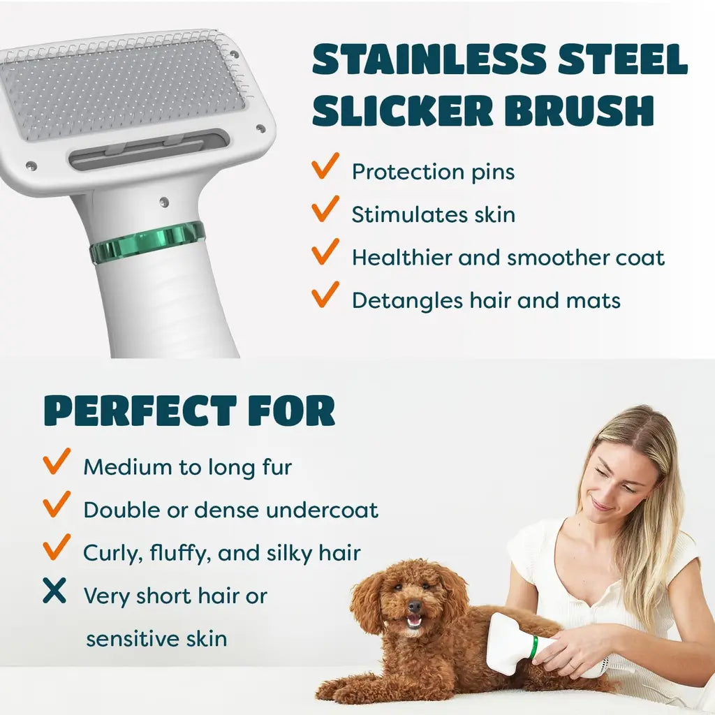 2-in-1 Hot Air Pet Hair Dryer & Comb – Grooming Tool for Cats & Dogs